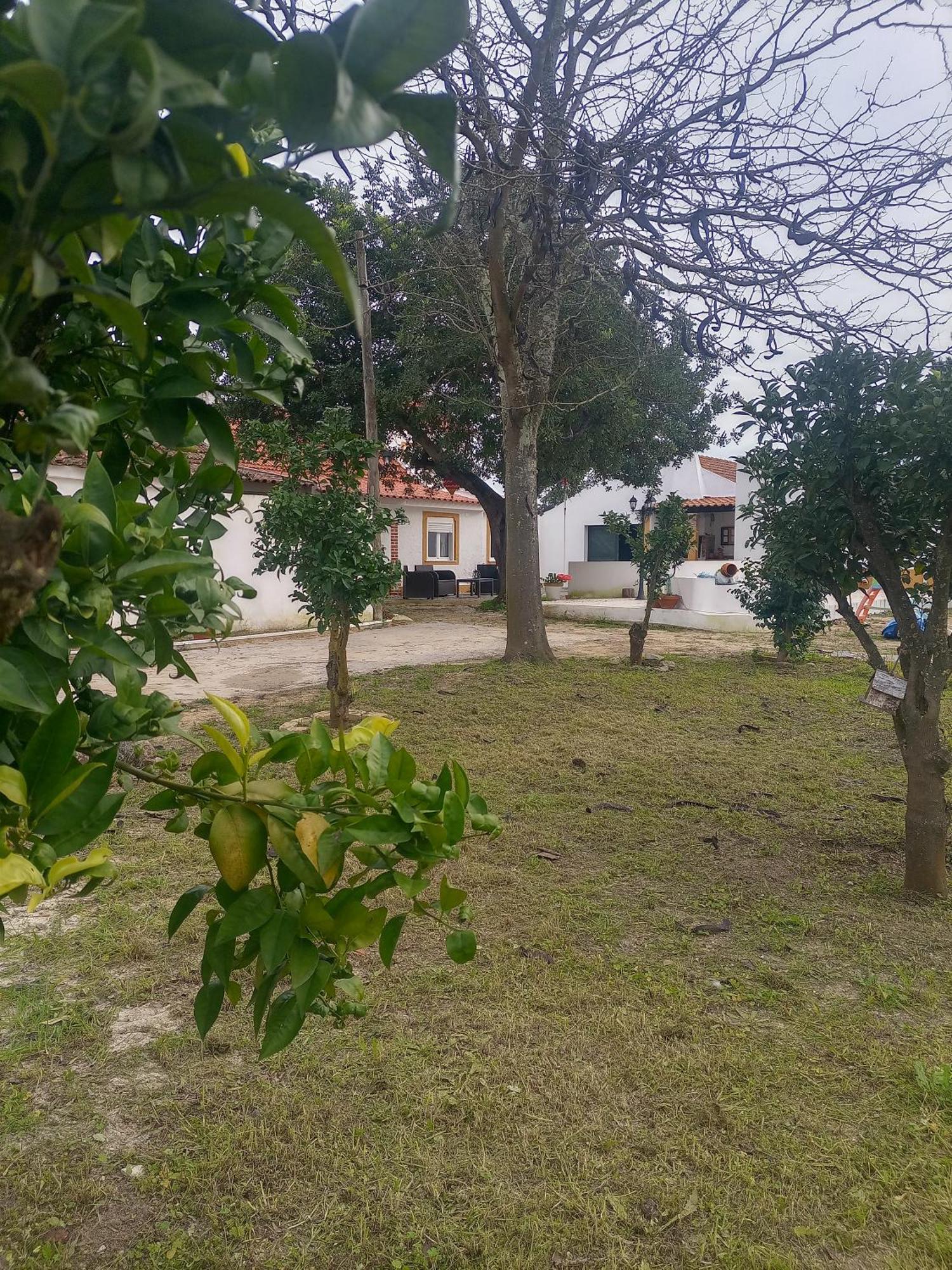 O Mundo Da Lua Villa Azeitao Bagian luar foto