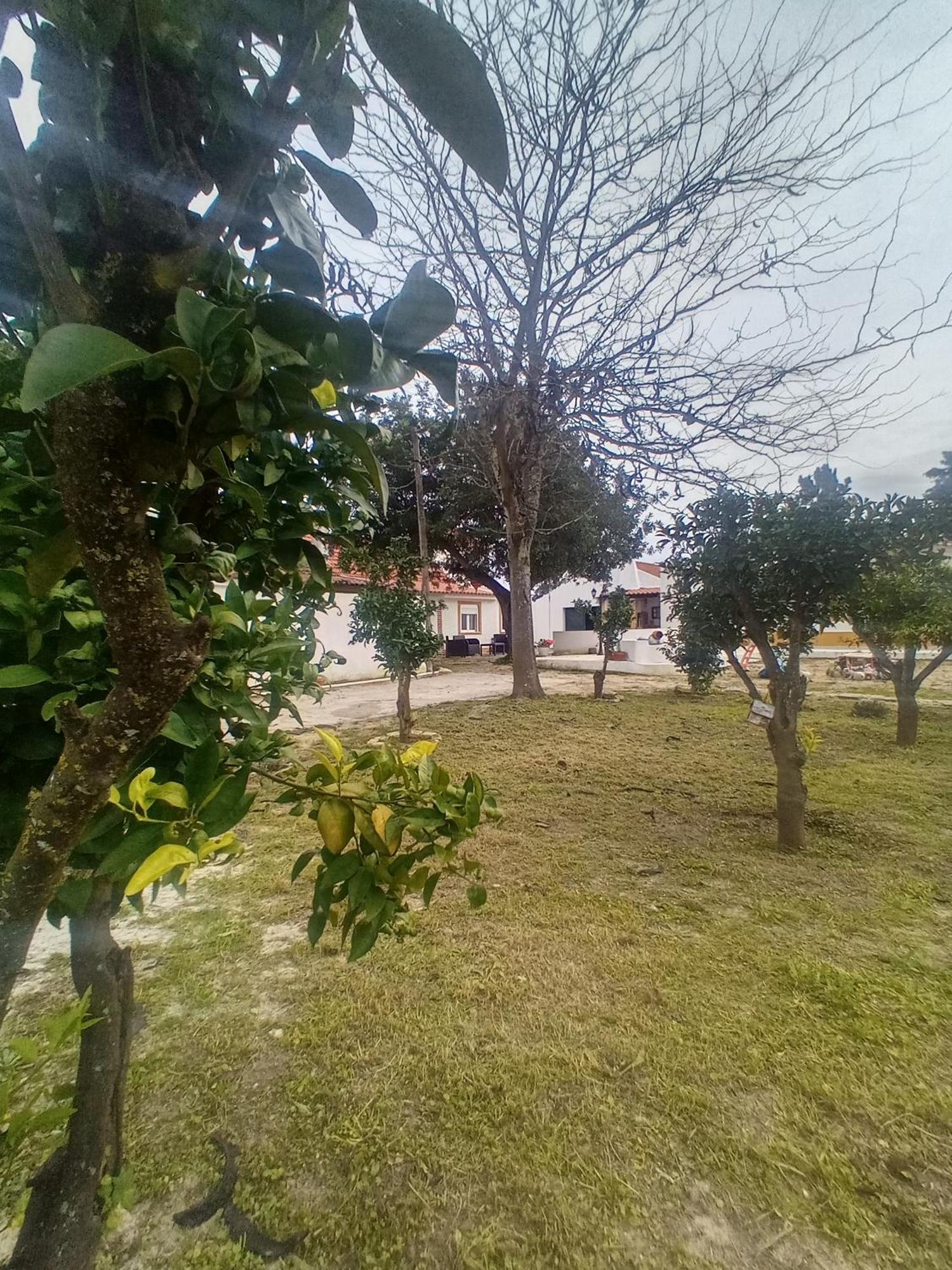 O Mundo Da Lua Villa Azeitao Bagian luar foto